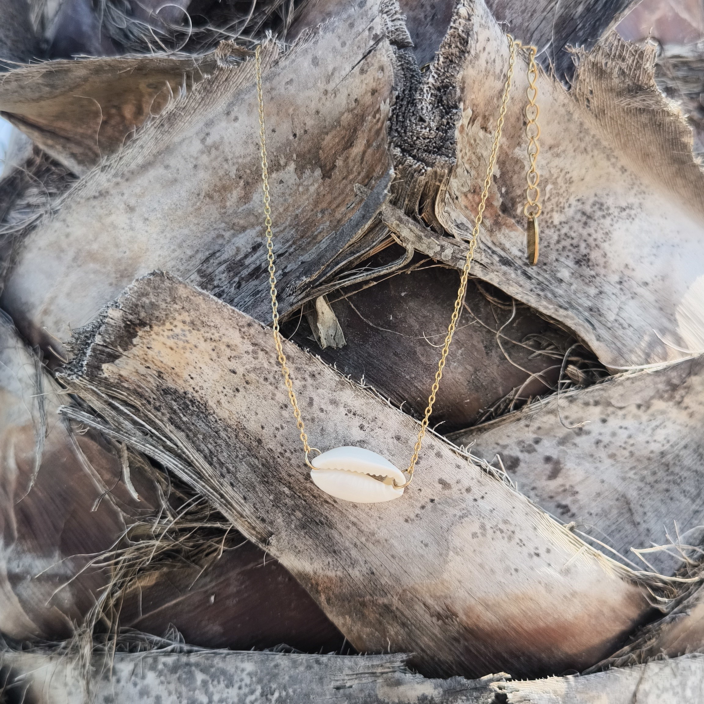 Bransoletka na nogę z białą muszelką